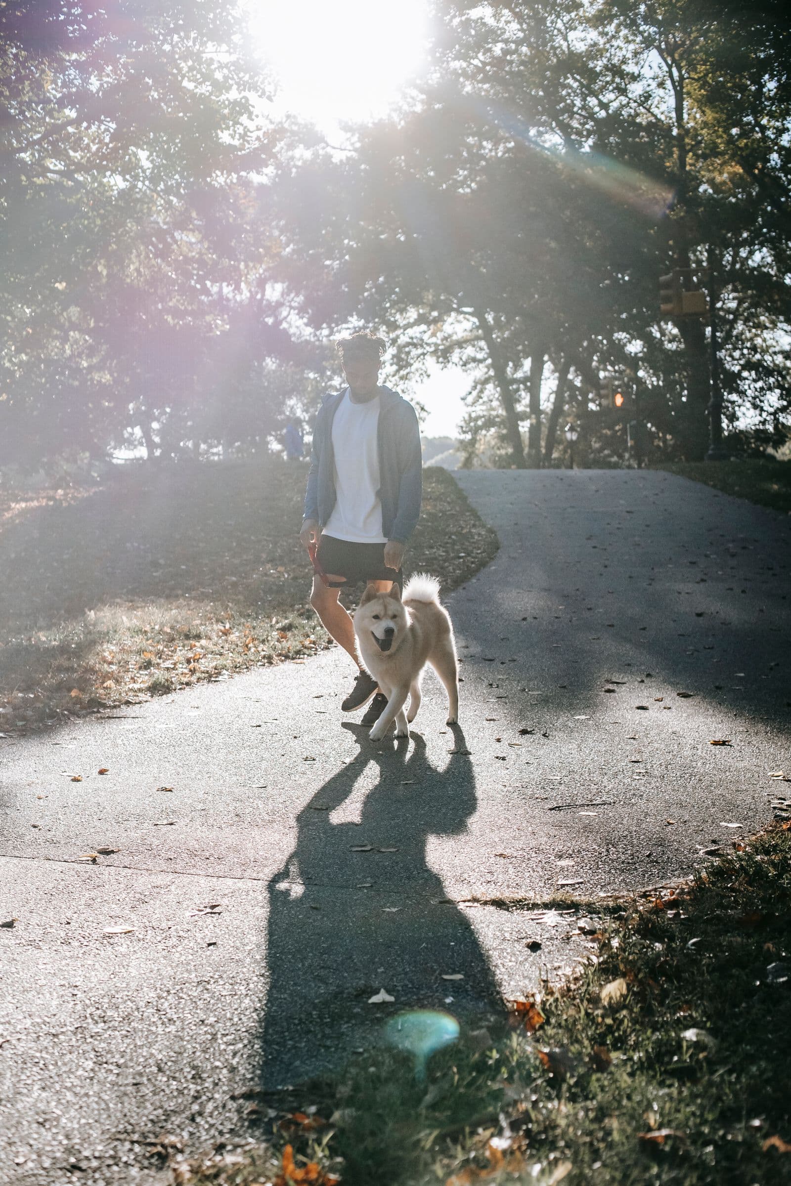 Homme marchant avec son chien en laisse dans un parc ensoleillé